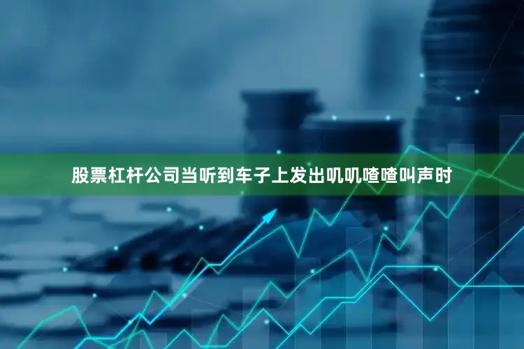 股票杠杆公司当听到车子上发出叽叽喳喳叫声时